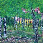 Trees in the summer. Trees in the summer.