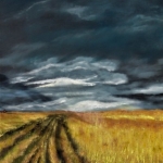 Fields of gold Fields of gold