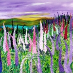 Fields with lupines Fields with lupines