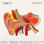 HTBT art tech Transplant: radiated orange HTBT art tech Transplant: radiated orange