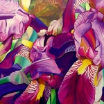 lily lily