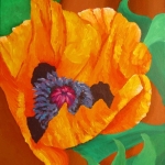 papaver three papaver three