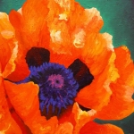 papaver seven papaver seven