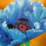 blauwe papaver twee blauwe papaver twee