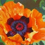 papaver four papaver four