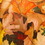 Autumn Day Autumn Day