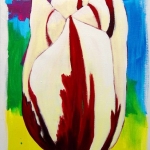 witte tulp witte tulp