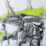 Tree and Rock Tree and Rock