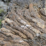Lava 1 Lava 1