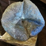 Blue lotus Blue lotus