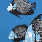 Angelfish Angelfish