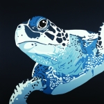 Schildpad Schildpad