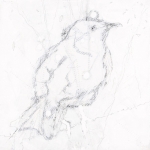 Vogel008 Vogel008