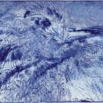 Vogelkop Vogelkop