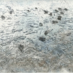 watervogels watervogels