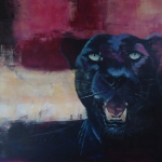 Zwarte panter Zwarte panter