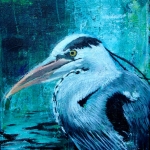 Blauwe reiger Blauwe reiger