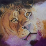Misty lioness Misty lioness