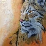 Euraziatische lynx Euraziatische lynx