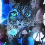 Cyperse kat Cyperse kat