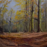 Beukenbos Beukenbos