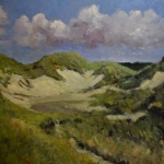 Duinen Duinen