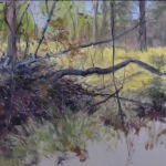 Dellebuursterheide Dellebuursterheide