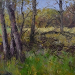 Dellebuursterheide Dellebuursterheide