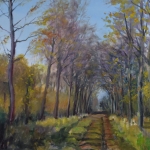 Veenhuizen Veenhuizen