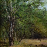 Dellebuursterheide Dellebuursterheide