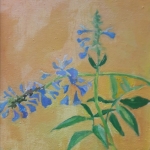 Blauwe bloemen 1 Blauwe bloemen 1