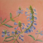 Blauwe bloemen Blauwe bloemen