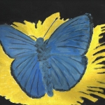 Le papillon bleu sur la fleur Le papillon bleu sur la fleur