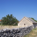 Pojata Pojata