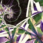 Spike Spike