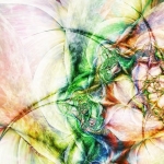 Rose Rose
