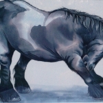 Krabbend Zeeuws paard Krabbend Zeeuws paard