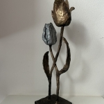 De tulp De tulp