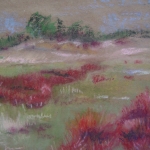 Veluwe, Nederland Veluwe, Nederland