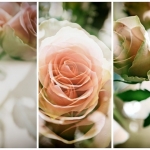 Blommekes. Blommekes.