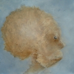 Head Head