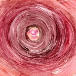 29 29
