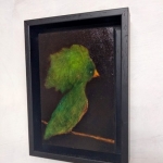 Groene vogel Groene vogel