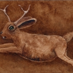 Jackalope Jackalope