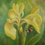Mellow Yellow nr. 2 Mellow Yellow nr. 2