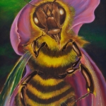 Queen Bee Queen Bee