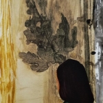 Nr. 6 Nr. 6