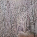 White Forest White Forest