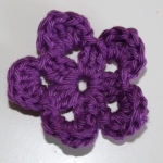 Paars Clematite Paars Clematite