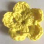 Geel citrus Geel citrus